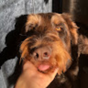 Meet your Posher, Madelyn